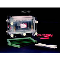 雙板夾心式垂直電泳槽