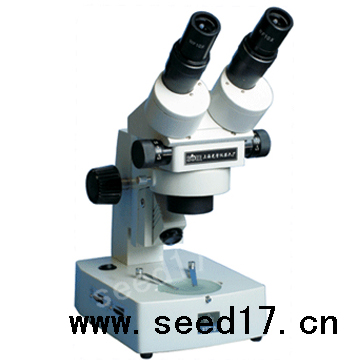 �B�m׃���wҕ�@΢�R XTZ-E