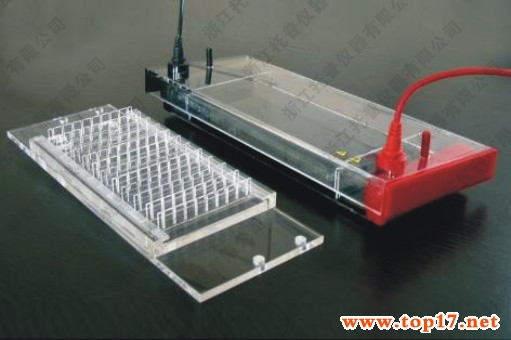 快速PCR水平電泳槽 JY-SP3