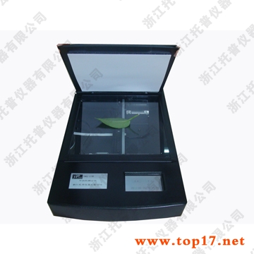 �x����e�y���x