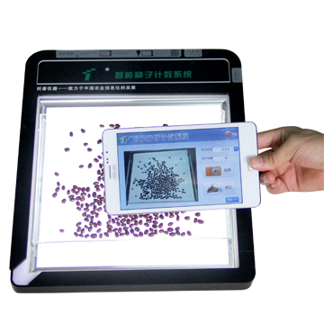 �N���Ԅ�Ӌ��ϵ�y