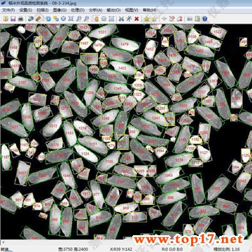 �������^Ʒ�|(zh��)�z�y(c��)�x