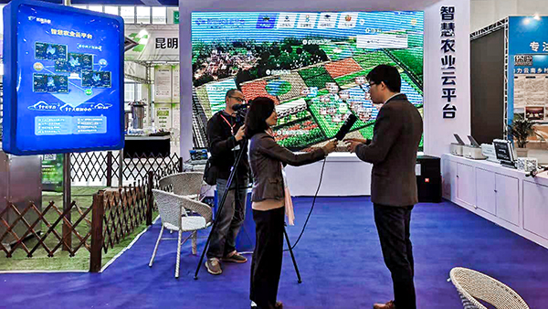 �����V���ҕ�_���L�������r