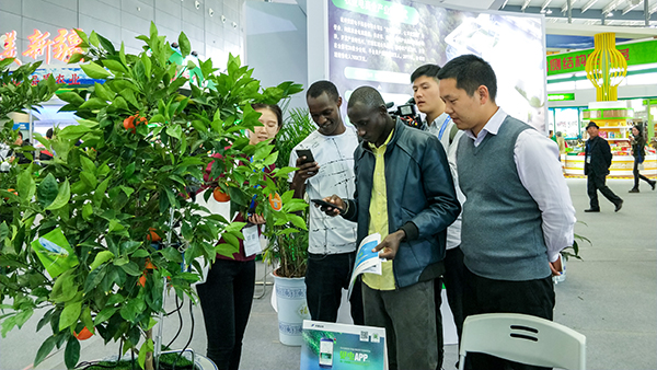 �������r���������ͼ��g�ɹ����õ��ˬF�������L�͵��Pע�c�ڴ�