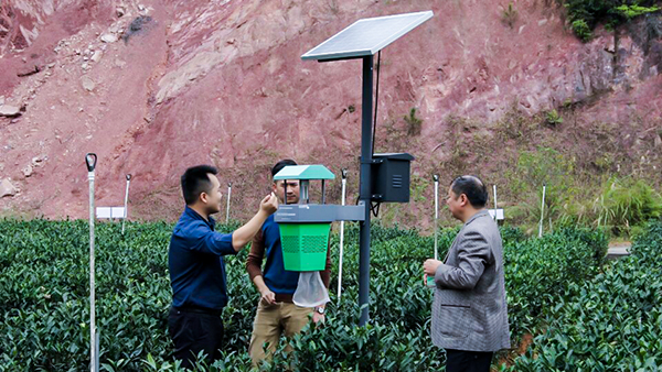 托普云農出品的茶園殺蟲燈