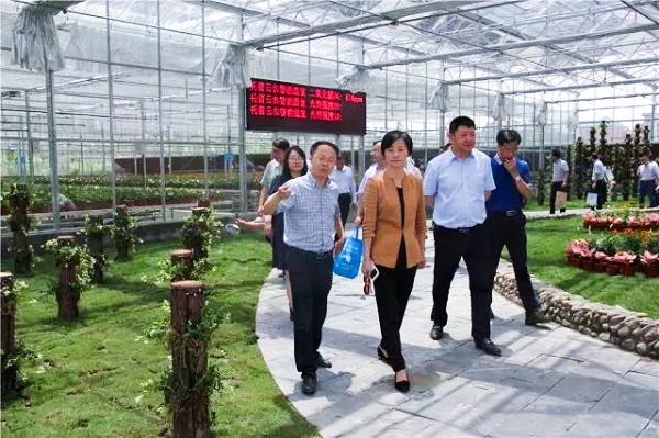 �������r�������������A�o�����I����B�ǻ��r�I