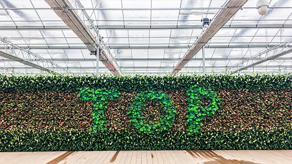 �������rȫ�Ԅ��й�ʽ���Ҵ�����ʽ���