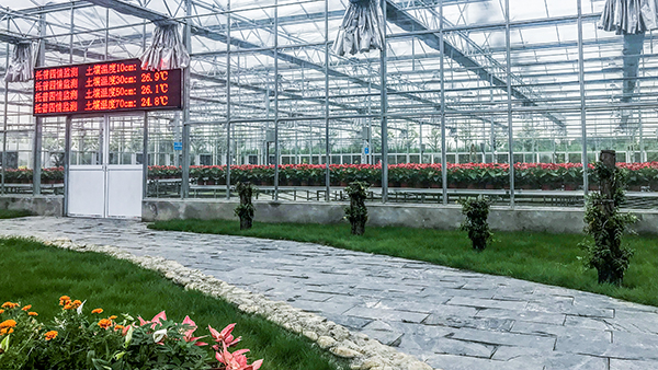 �������rȫ�Ԅ��й�ʽ���Ҵ�����ʽ���