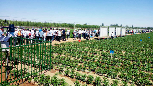 ���جF�����^