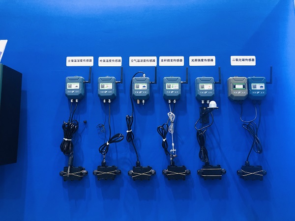 �r�I(y��)���܂����O��