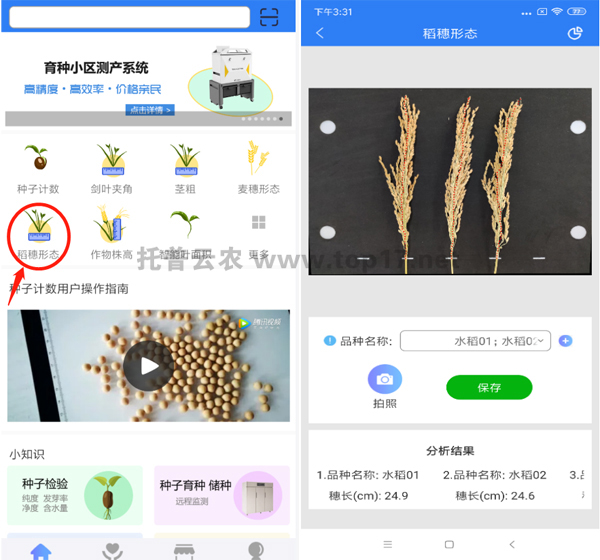 稻穗形態測量儀