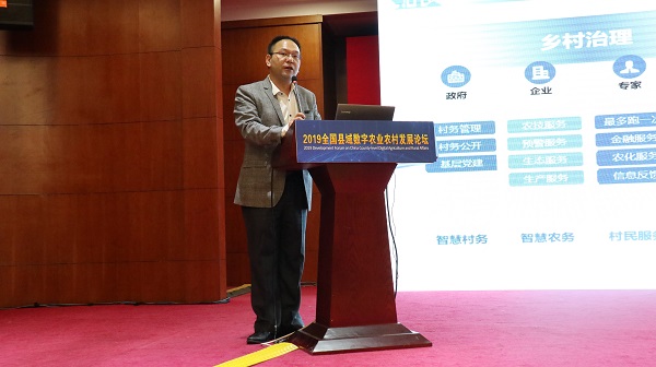 �X�i����������������