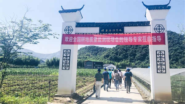 �O�y�c�^Ħ�F��