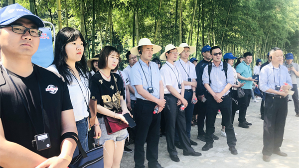 �O�y�c�^Ħ�F��