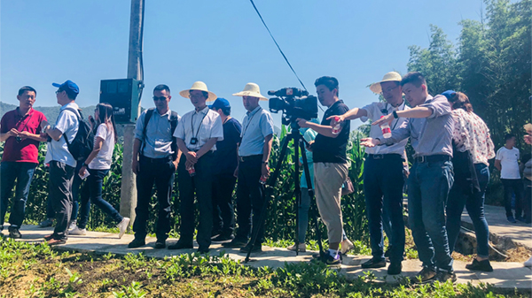 �O�y�c�^Ħ�F��