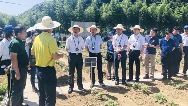 �O�y�c�^Ħ�F��