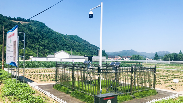 �O�y�c�^Ħ�F��