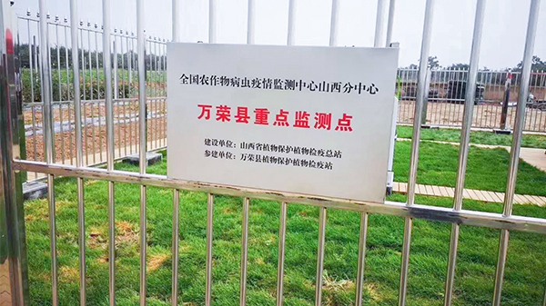 與會人員來到萬榮現代農業產業園進行現場觀摩