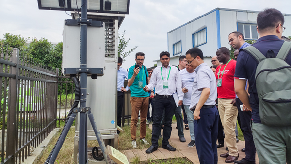 ����Fһ��Ԕ���˽┵���r�I��Q�����;��w���ó�Ч