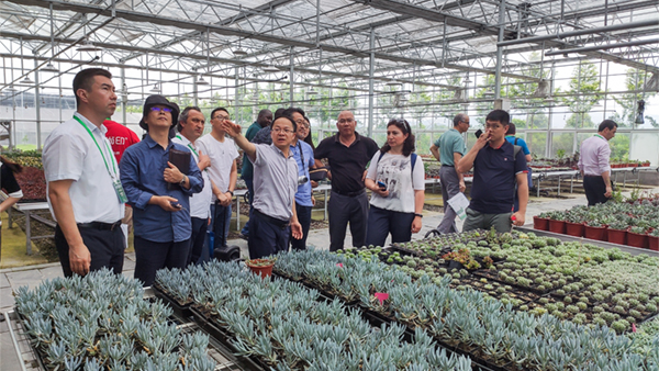 ����Fһ��Ԕ���˽┵���r�I��Q�����;��w���ó�Ч