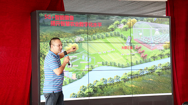 �X�i��B5G���r�I���������P����