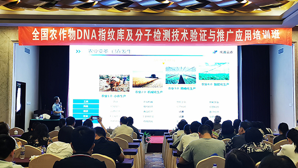 2019ȫ���N�әz򞼼�g(sh��)��Ӗ(x��n)���ں����_