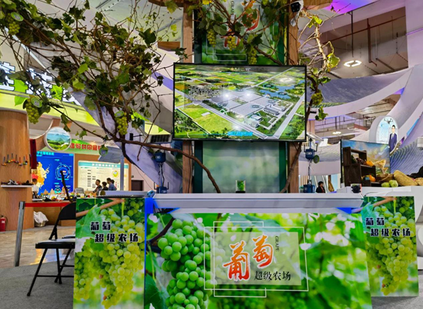 ����(j��)�r(n��ng)��(ch��ng)