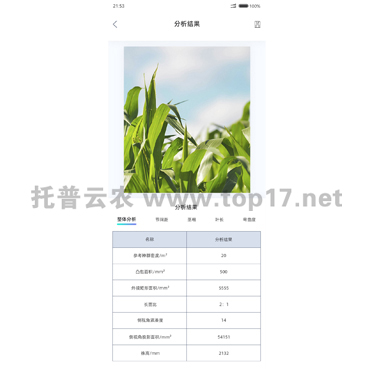 玉米株型分析系統軟件界面