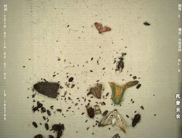 �ھ��鿴�����x��