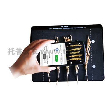 稻穗形態測量儀