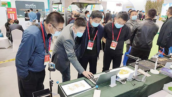 ���I(l��ng)��(d��o)��(zhu��n)���W�R�������r(n��ng)չλ