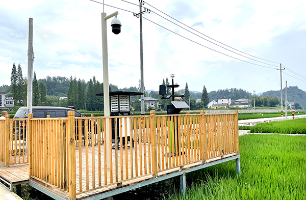 臨安太陽鎮(zhèn)數(shù)字化高標(biāo)準(zhǔn)農(nóng)田實(shí)景圖