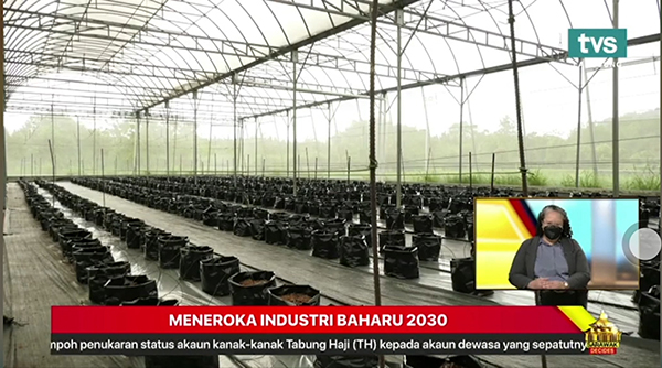 托普云農(nóng)數(shù)字農(nóng)業(yè)解決方案在馬來西亞的應(yīng)用場(chǎng)景