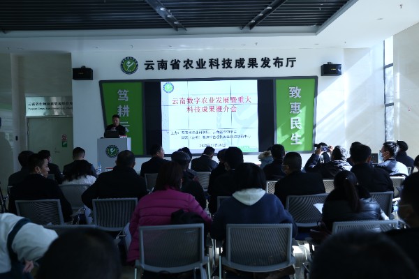 �ƽ���F��