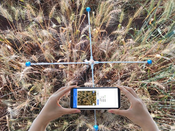 С�����딵�y��ϵ�y