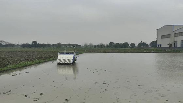 �o���{����C