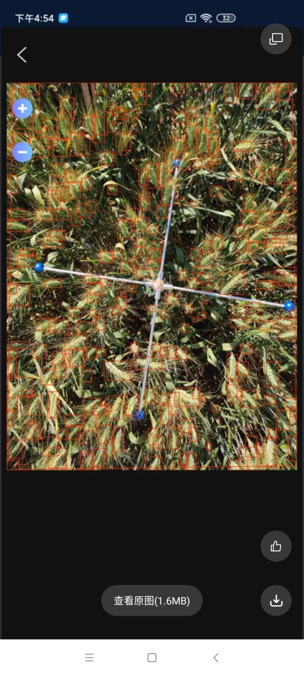 С�����딵�y��ϵ�y