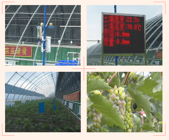 ���_(t��i)�^(q��)���񲨵Ĳ�ժ�@