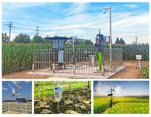 �������r�����аl���r�I�����O�䑪�È���