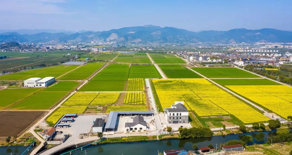 寧波海曙古林數字大田——農機可視化,種植信息化,灌溉智能化