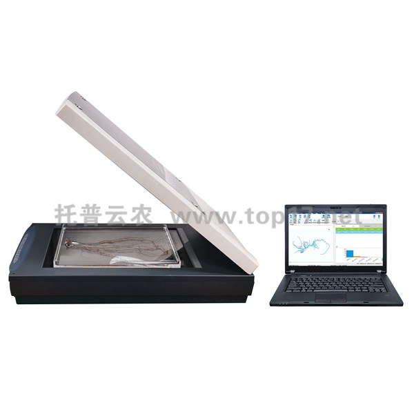 ֲ���ϵ�����x GXY-A