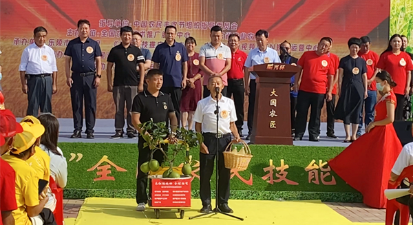 �����t�F(xi��n)��չʾ������