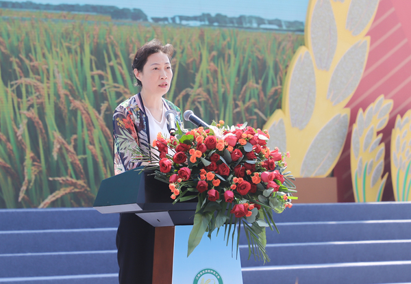 ����ʡί�r�k���Ρ�ʡ�r�I�r��d�h�M��ӛ���d�L��֦Ӣ�l���vԒ