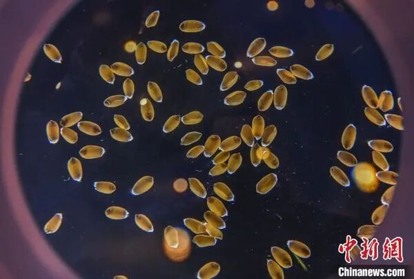 �������r(n��ng)�����r(n��ng)�I(y��)�x���ܵ��c��ý�w�P(gu��n)ע