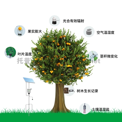 ֲ���������B(t��i)�O(ji��n)�y(c��)ϵ�y(t��ng)TP-ZWSLϵ��