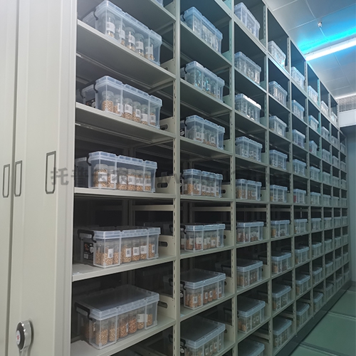 種質(zhì)資源復(fù)份長(zhǎng)期庫(kù) 定制