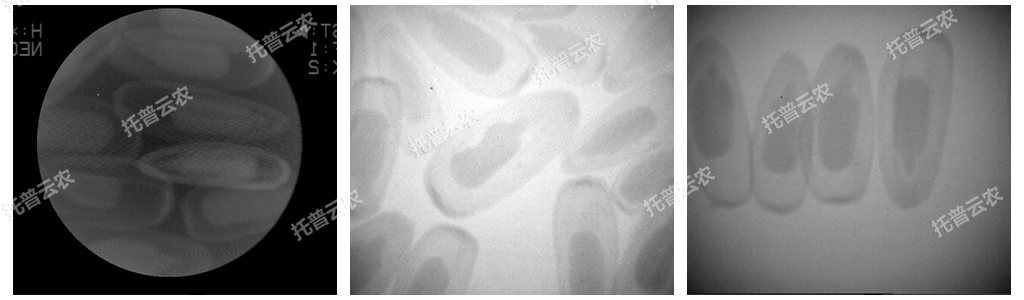 ��X�r��X��C/��X�N��X��C