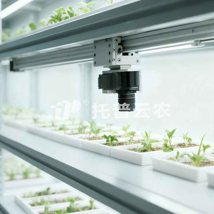 �˹������ֲ����ͱO�yϵ�yTP-PlantR TP-PlantR