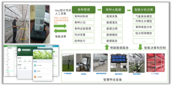 育種信息化管理系統 TPYZ-V2.0